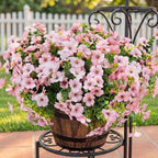 Artificial Flowers for Outdoor Fake Plants for Spring Decoration,Faux Eucalyptus Flowers for Planter UV Resistant Lifelike for Home Porch Garden (White/Pink)