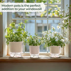 T4U 4.8 Inch Self Watering Plant Pot, 4 Pack Self Watering Pots, Self Watering Planter with Reservoir, Small Self Watering Pots for Indoor Plants, African Violets (4 Pack, 4.8", Clear)