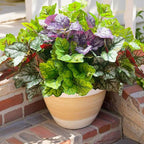 Artificial Plants Fake Heuchera Greenery for Outdoor UV Resistant, Faux Silk Realistic Bushes Look Real Shrubs for Outside Porch Planters Patio Pots Spring Summer Decor, 6 Bundles
