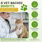 Todd's Seeds Cat Grass Seeds (1 Lb Bulk) | Premium Wheatgrass for Indoor Cats | Fast Growing Pet Grass in 5 Days | Non-GMO, Chemical Free, Hairball & Digestive Aid