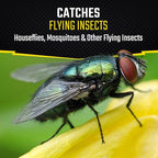 Black Flag Fly Paper, Insect Trap, Catches All Flying Insects 4 Traps