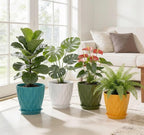 UOUZ 8 Inch Plant Pots, 4 Pack Plastic Planters for Indoor Outdoor with Drainage Holes & Saucers, Waffle Texture Flower Pots for Indoor Plants, Indoor Plant Pots for Monstera, Fiddle Leaf Fig Colorful