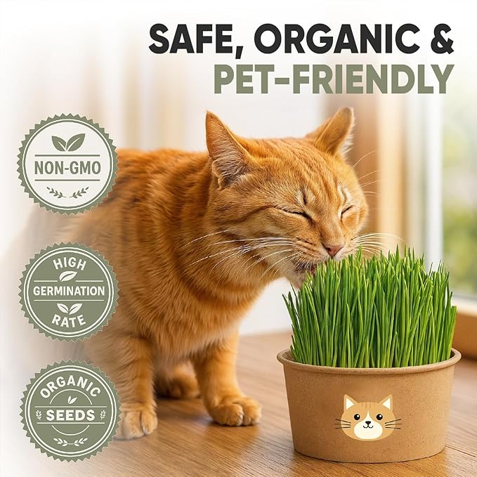 Cat Grass Kit for Indoor Cats – x3 Seed Packets | Cat Grass Seeds with Recyclable Planter & Coconut Coir Expanding Soil Discs – Wheatgrass Grass