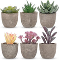 Set of 6 Artificial Succulents Potted - Realistic Mini Fake Cactus Plants in Paper Pulp Pots, 2-4'' Mixed Sizes for Farmhouse Shelf, Bathroom, Coatrack Shelf, Bedroom Indoor(Classic Style)