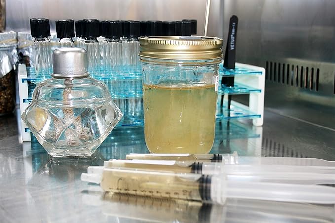 Root Mushroom Farm- Mushroom Liquid Cultures/Brown Beech(Hypsizygus tessulatus)