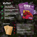 KVITER 150 Chief Mix Cockscomb Seeds (Celosia argentea) – Celosia Seeds for Planting Flowers Vibrant Blooms, Annual Cut Flower Seed Mix – Heat Tolerant Flower Garden Containers, Flowers Beds Outdoors