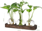 YIBOT Propagation Stations,Plant Propagation Vase,Desk Plant Terrarium with Retro Wooden Stand,Plant Lover Gifts for Women for Hydroponics Plants Home Garden Wedding Decor(3 Vase)