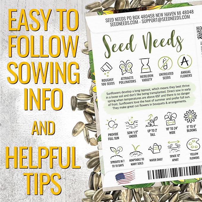 Seed Needs Dwarf Sunflower Seeds for Planting Yellow Pygmy Sunflowers - Heirloom & Open Pollinated Annual Cut Flowers - Perfect for Butterfly Gardens (1 Pack)