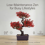 Cabilock Artificial Bonsai Tree Decor, Small Fake Plants Indoor for Home Office Desk, Faux Potted Plant Zen Japanese Trees for Men Living Room Shelf Decorations