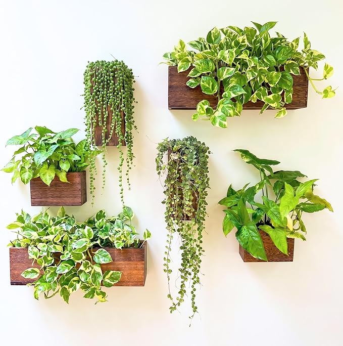 LaLaGreen Wood Planter Box for Plants (6 Pack) Wooden Hanging Wall Planters for Indoor Plant Holder Vase for Dried Flowers, Modern Farmhouse Wall Decor Living Room Bedroom Kitchen Office Home Garden