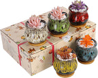Cute Ceramic Succulent Garden Pots, Planter with Drainage and Attached Saucer, Set of 5 -Plants Not Included (Fambe)
