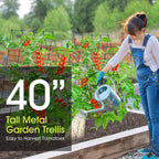 Cucumber Trellis for Raised Bed, Rifny 16.5 x 40 Inch Metal Trellis for Climbing Plants Outdoor with Plant Clips Twist Ties, Garden Plant A-Frame Trellis for Vegetable Pea Tomato (Green, 2 PCS)
