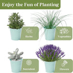 PERFNIQUE Indoor Herb Garden, Herb Planter for Indoor/Outdoor, Farmhouse Plant Pots, Windowsill Herb Garden with Tray(Planter only) Window Pots