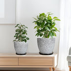 Ceramic Pots for Plants - 10+8+6 Inch Round Flower Pots with Drainage Holes and Saucers, Decorative Planters for Indoor Outdoor, Porch Decor, Housewarming Gifts, Set of 3, White-Black