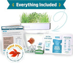 Back to the Roots Indoor Aquaponic Garden - 3 Gallon Self Watering, Mess-Free Planter and Self-Cleaning Fishtank for Herbs, Microgreens, Bamboo, Succulents, and Houseplants, support Fish