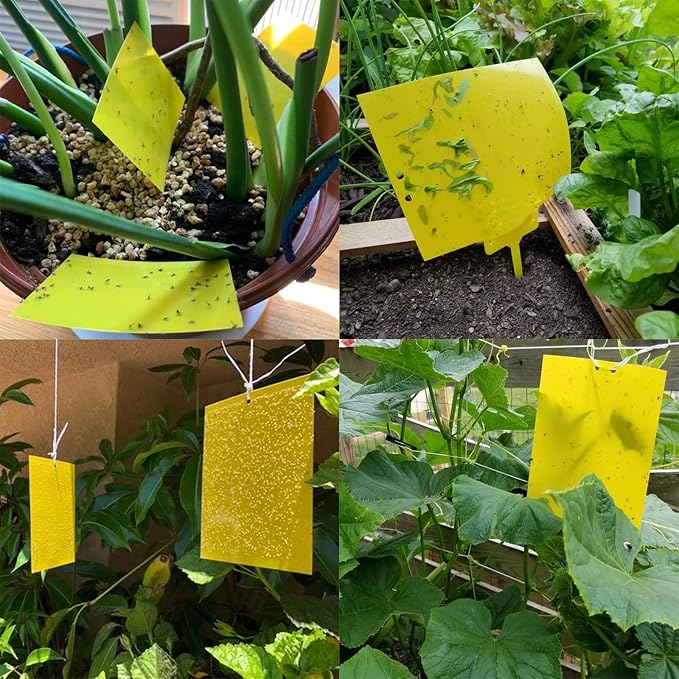 Garutom 30-Pack Dual-Sided Yellow Sticky Traps for Flying Plant Insect Such as Fungus Gnats, Whiteflies, Aphids, Leafminers, etc (6x8 Inches, Included 30pcs Twist Ties)