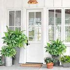 Artificial Plants for Outdoors Faux Greenery Leaves UV Resistant Realistic Plastic Large Bunches Shrubs Bushes with Stems, Fake Plants Decor Outdoor for Front Porch Door Patio Garden Yard, 9Pcs