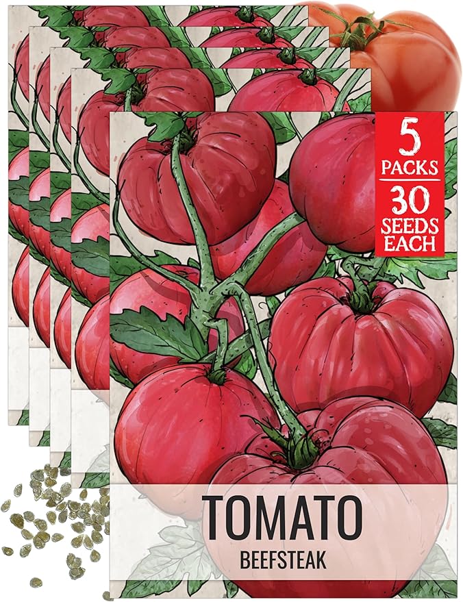 Seed Needs Tomato Seeds for Planting Indeterminate True Beefsteak Tomatoes - Non-GMO Heirloom & Untreated Vegetable Seed to Plant a Home Grown Outdoor Veggie Garden (5 Packs)
