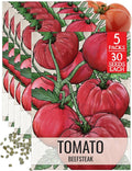 Seed Needs Tomato Seeds for Planting Indeterminate True Beefsteak Tomatoes - Non-GMO Heirloom & Untreated Vegetable Seed to Plant a Home Grown Outdoor Veggie Garden (5 Packs)