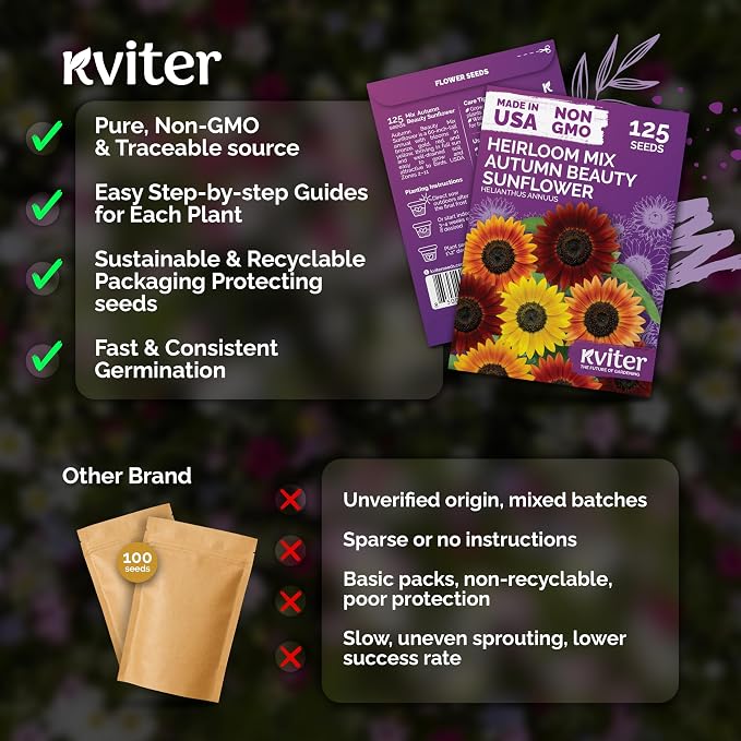 KVITER 125 Autumn Beauty Mix Sunflower Seeds (Helianthus Annuus) - Common Sunflower, Tall Colorful Flower Seed Packets - Heirloom Flower Seeds for Outdoor Garden, Borders, Ideal Cut Flowers