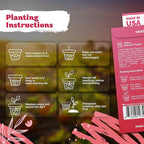KVITER 25 Yellow Biquinho Pepper Seeds (Capsicum Chinense) - Sweety Drop Peppers, Mild Heat, High Yield, Heirloom, Non GMO Seed Packets - Vegetable Seeds for Gardens, Raised Beds, Greenhouses