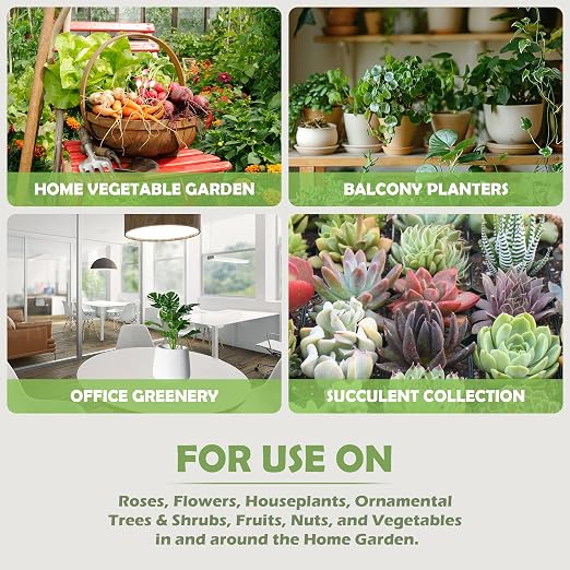 Neem Oil Spray for Plants with Peppermint Oil– Gentle Leaf Maintenance for Indoor and Outdoor Greenery, 16oz
