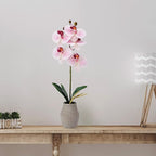Mikasa Artificial Orchid in Pot, Real Touch Phalaenopsis Orchid, Embossed Weave Cement Pot, 16-Inch Single Branch, Watercolor Pink