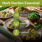 KVITER 500 Garlic Chives Seeds (Allium Tuberosum) - Chinese Chives, Garlic Flavor, White Blooms, Non GMO, Heirloom Seed Packets - Perennial Herb Seeds for Gardens, Containers, Herb Beds
