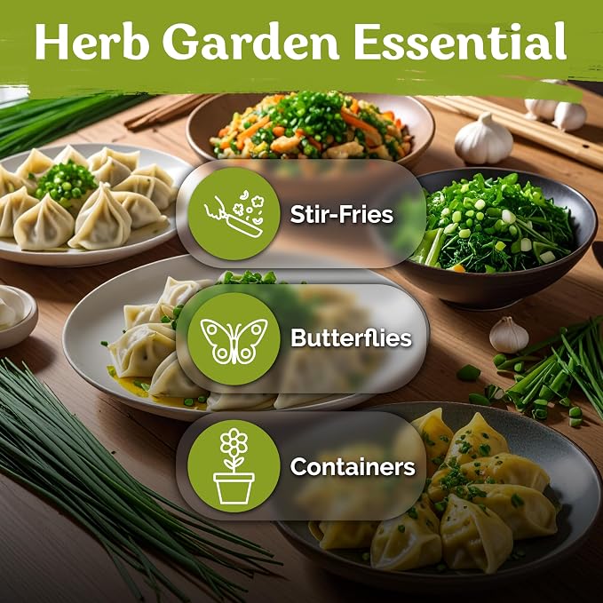 KVITER 500 Garlic Chives Seeds (Allium Tuberosum) - Chinese Chives, Garlic Flavor, White Blooms, Non GMO, Heirloom Seed Packets - Perennial Herb Seeds for Gardens, Containers, Herb Beds