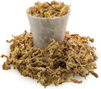 Premium New Zealand Sphagnum Moss by Gardenera - Organic Hand Mixed Long Fibered Sphagnum Moss Orchid - 4 Quart