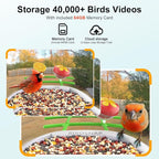birdsnap® PAV-Bird Feeder with Camera,2K HD with 64GB Card, AI Identify Smart Bird House Cam Solar Panel,Live Stream,Motion Detection,Auto Record Video for Backyard Outdoors,Ideal Gift for Bird Lover