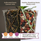 Molly's Orchid Potting Mix - Premium Gritty Soilless Orchid Mix - Chunky High Drainage vs Standard Potting Soil for Indoor Plants - Contains Bark, Coco Chips, Akadama, Pumice, Lava Rock 5 Dry Quarts