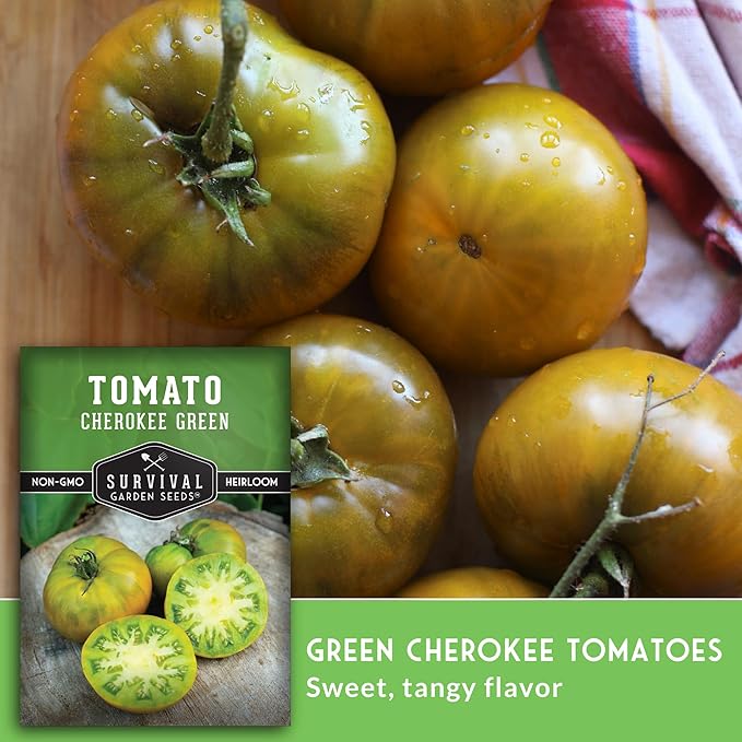 Cherokee Green Tomato Seeds for Planting – Heirloom Green Tomato Variety with Rich Sweet Flavor – Large Non-GMO Beefsteak Tomatoes for Slicing and Salads – Survival Garden Seeds (1 Pack)