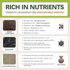AROID Potting Mix/Premium Soil for Monstera, Philodendron, Alocasia, Anthurium – Chunky, Optimally Aerated Soil – Organic & Ready to Use – Supercharges Root and Foliage Growth (4 QTS)