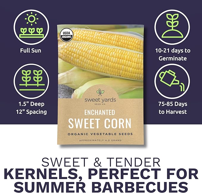 Sweet Yards Seed Co. Organic Enchanted Sweet Corn – Two Seed Packets! – Approx. 30 Open Pollinated Non-GMO Seeds 60 Total