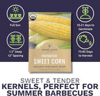 Sweet Yards Seed Co. Organic Enchanted Sweet Corn – Two Seed Packets! – Approx. 30 Open Pollinated Non-GMO Seeds 60 Total