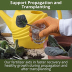 GARDENWISE 3-1-2 African Violet Fertilizer for Indoor Plants: Liquid Fertilizer with Essential Micronutrients Drops - Plant Food for African Violets (8 oz)