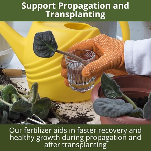 GARDENWISE 3-1-2 African Violet Fertilizer for Indoor Plants: Liquid Fertilizer with Essential Micronutrients Drops - Plant Food for African Violets (32 OZ)