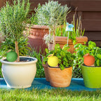 8Pcs Terracotta Self Watering Devices Premium Self Ceramic,Automatic Watering Water Seepage Device for Vacation Care,Garden/Office/Outdoor/Indoor Plant Decoration