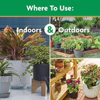 Miracle-Gro Water Soluble All Purpose Plant Food - Fertilizer For All Indoor or Outdoor Plants including Roses, Flowers, Vegetables, Houseplants, Trees, and Shrubs, 10 lbs.