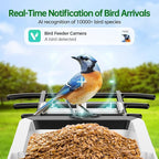 Smart Bird Feeder with Camera - Solar Powered Bird Watching Camera with 2K HD Live View, Auto Capture & AI Identify 10,000+ Species, 2.4G WiFi Outdoor Birdhouse, Ideal Gifts for Bird Lovers
