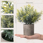 Chunful 6 Pcs Small Fake Plants Potted Faux Mini Artificial Plants Rosemary Babys Breath Artificial Flowers Farmhouse Table Centerpiece Decoration for Living Room Desk Shelves Bathroom Bedroom Office