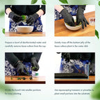 SubstrateSource Live Plant - Utricularia Graminifolia Tissue Culture Aquatic Live Aquarium Plant Grass Carpet for Aquascape - 100% Snail Free in Vitro Cup (Utricularia Graminifolia)