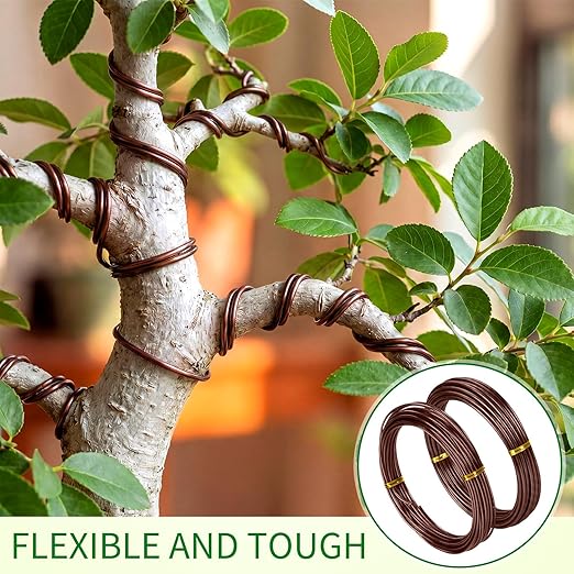Mudder 5 Roll Aluminum Bonsai Training Wire Tree 160 Feet Total with Bonsai Wire Cutter Anodized Training for Holding Branches Small Trunks(1/1.5/2/2.5/3mm,Brown)