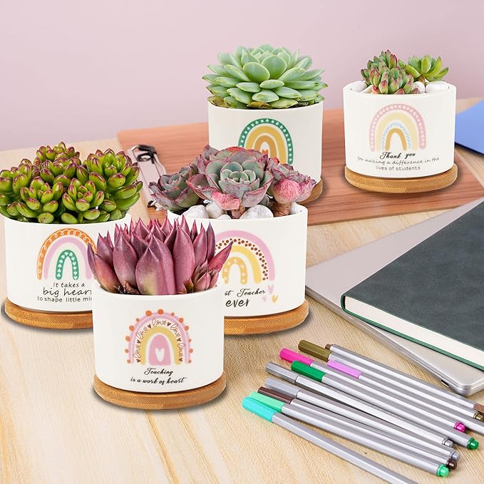 Kolewo4ever 9 Pieces Teacher Appreciation Gifts Ceramic Succulent Plant Pot Small Flower Planter Rainbow Funny Cute Succulent Accessories for Best Teacher Gift Plant Not Included