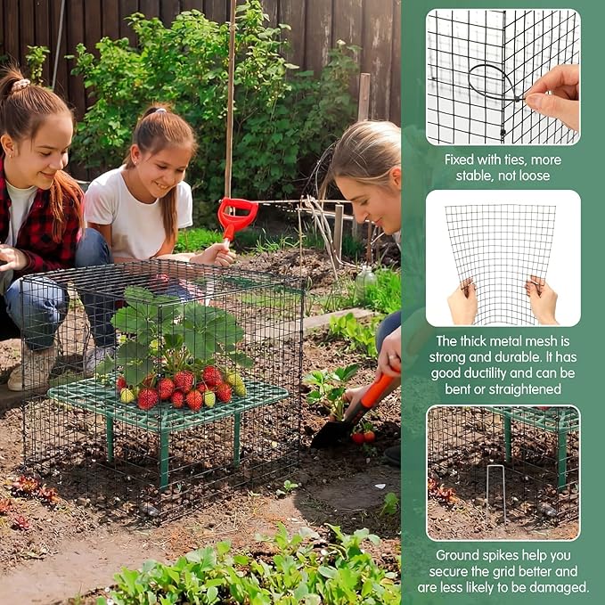 8 Set Strawberry Supports with Wire Plant Protectors from Animal 2 x 12 Inch Metal Garden Protection Cage for Strawberries Vegetables Shrubs Rabbit Proof Cage Set for Outdoor Garden