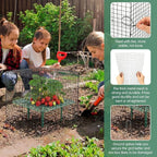 8 Set Strawberry Supports with Wire Plant Protectors from Animal 2 x 12 Inch Metal Garden Protection Cage for Strawberries Vegetables Shrubs Rabbit Proof Cage Set for Outdoor Garden