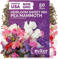 KVITER 50 Sweet Pea Mammoth Mix Seeds (Lathyrus Odoratus) - Sweet Pea Seed Packets, Large Fragrant Cut Flowers, Long Stems - Annual Flower Seeds for Gardens, Trellises, Flower Beds and Containers