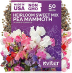 KVITER 50 Sweet Pea Mammoth Mix Seeds (Lathyrus Odoratus) - Sweet Pea Seed Packets, Large Fragrant Cut Flowers, Long Stems - Annual Flower Seeds for Gardens, Trellises, Flower Beds and Containers