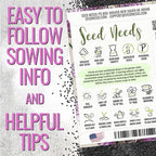 Seed Needs Italian Parsley & Chives Seeds for Planting Fresh Kitchen Herbs - Non-GMO Heirloom & Untreated Perennial Herb Seed to Plant a Culinary Garden Indoors or Outdoors (2 Pack Duo)